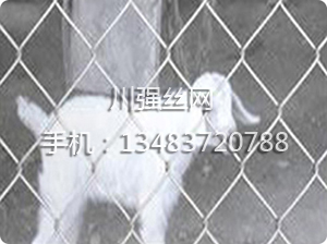 養(yǎng)殖護欄網(wǎng)